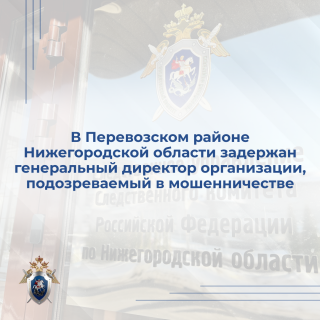 В Перевозском районе Нижегородской области задержан генеральный директор организации, подозреваемый в мошенничестве